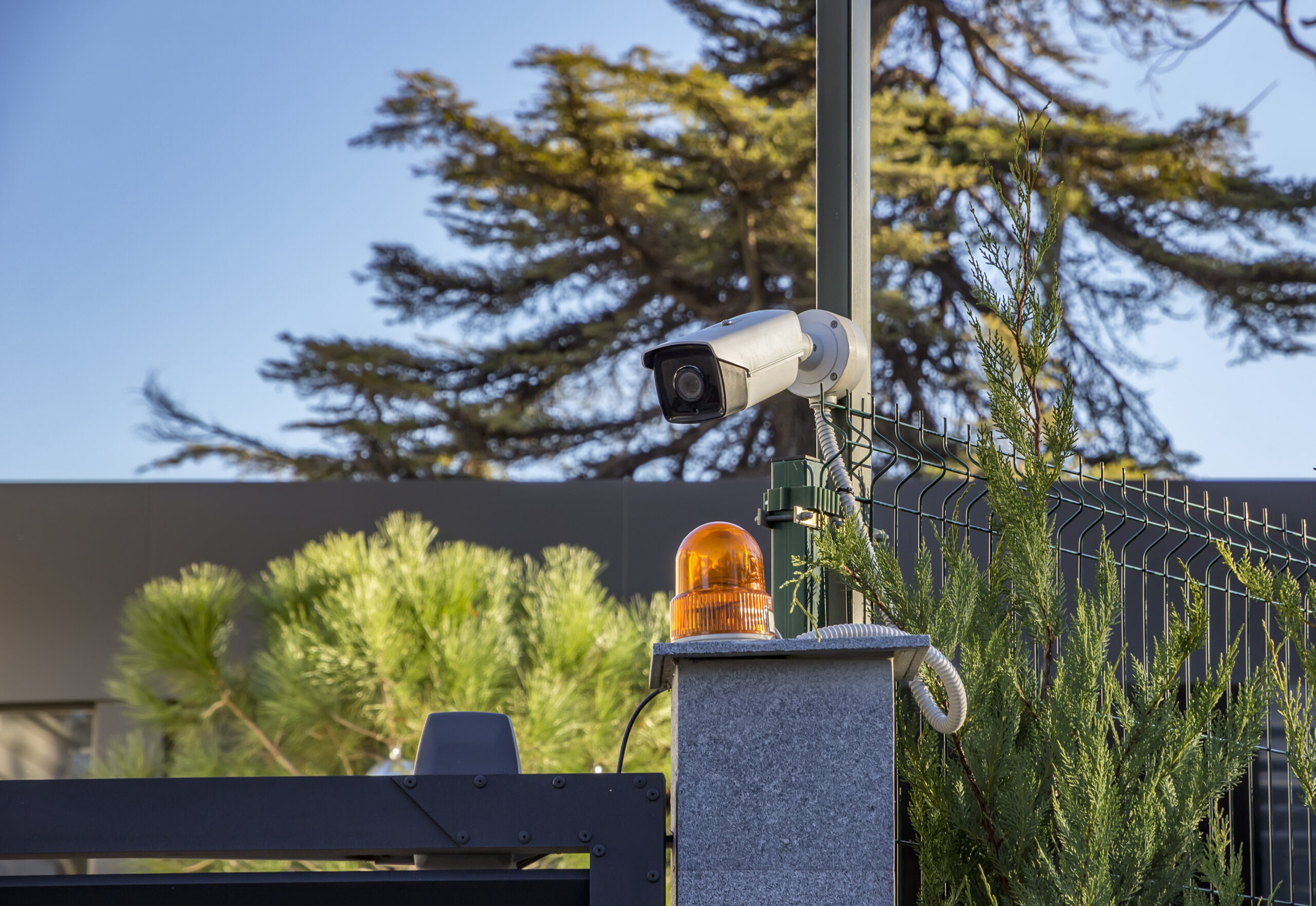 Motion Detection